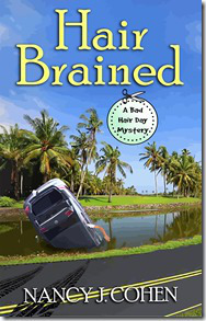 HAIR BRAINED ebook