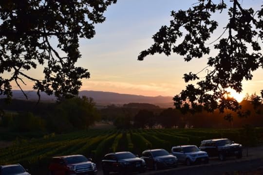 Sunset at Eola Hills Legacy Estate Vineyard, Oregon.