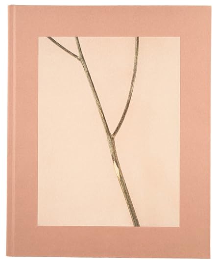 Casper Sejersen, Belongs to Joe, MACK, London, 2015