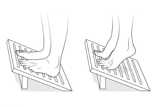Flexed-Toe Raises