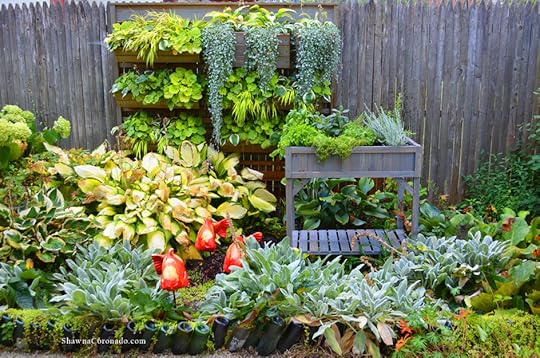 VegTrug Herb Garden with Living Wall