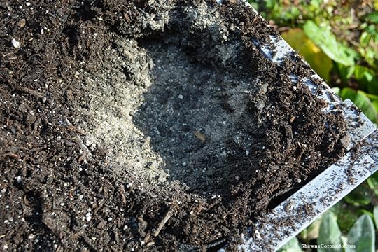 VegTrug Herb Garden Soil and Fertilizer