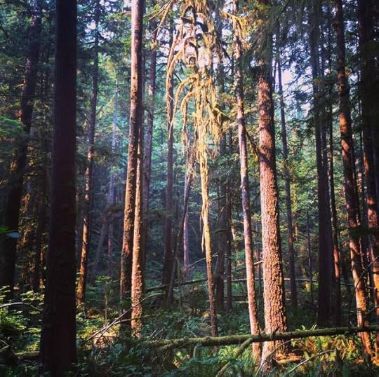 truth poem wilderness