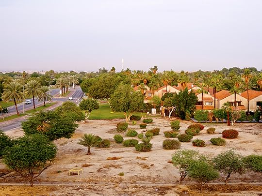 Ayesha Malik, Early-morning view along Rolling Hills Boulevard, November 26, 2016 © the artist 