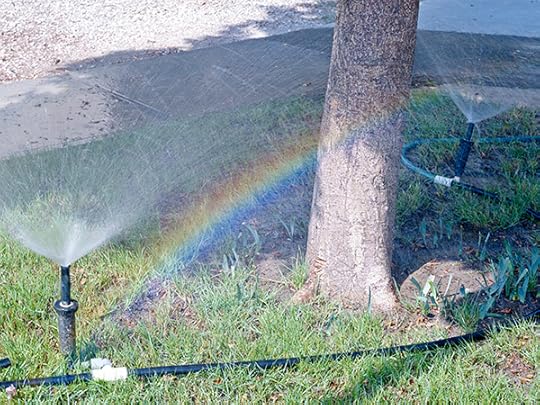 Ayesha Malik, Sprinkler rainbow on Tarut Drive, October 20, 2016 © the artist 