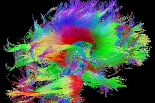 Glimpses Of The Brain
