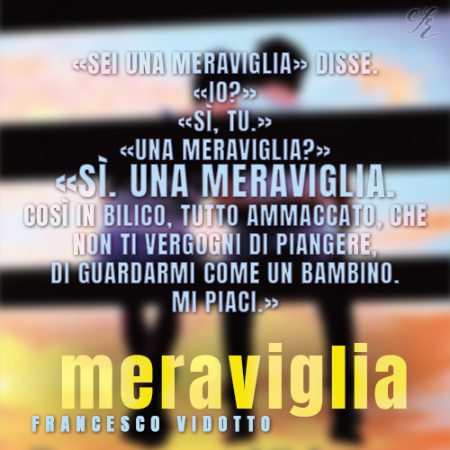 Meraviglia Francesco Vidotto