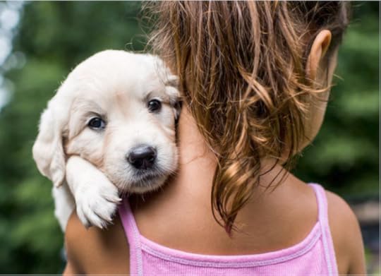 The Dogist Puppies 1-- bookspoils