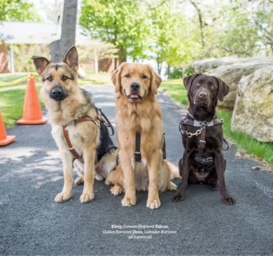 The Dogist Puppies 5-- bookspoils