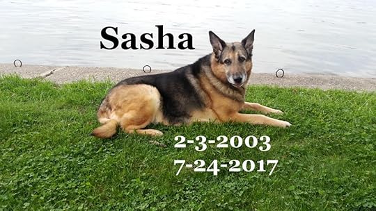 the loss of a dog