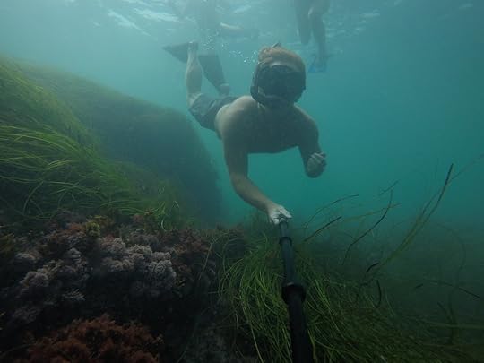Dive water diving outdoors excursion SEA laguna beach CA Ella Lea Eric Belisa Chad Seal PUPs G0080755 (1).JPG
