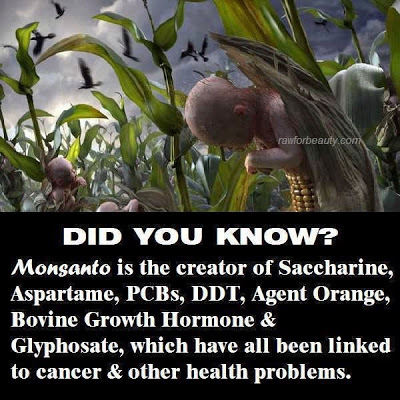 Image result for monsanto evil