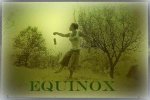 equinox copy