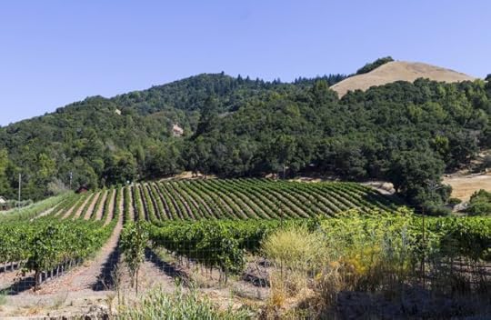 5. Santa Rosa, Calif.