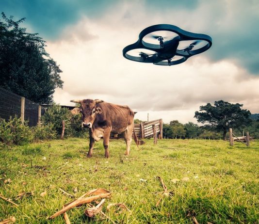 More about Drones and innovation
