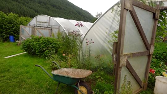 Polytunnels Corrary Farm 