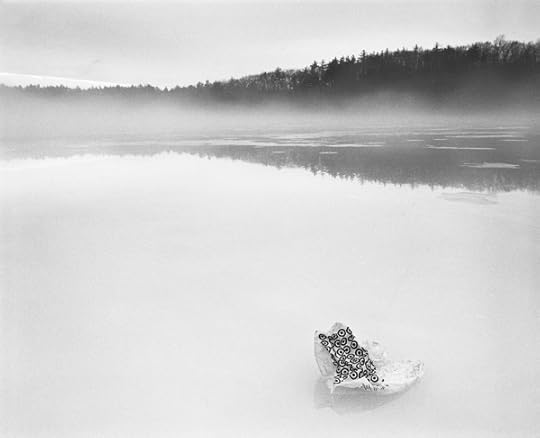 S.B. Walker, Target bag, ice melt, March 2011 © the artist 