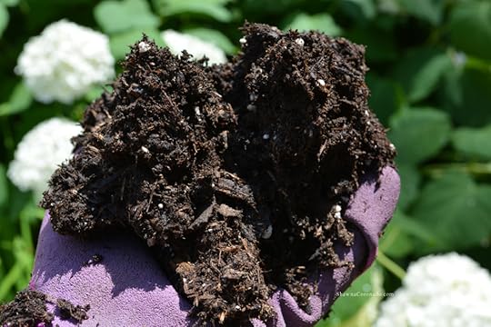 Kellogg Garden Organics All Natural Raised Bed and Potting Mix