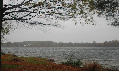 Cold day on our lake