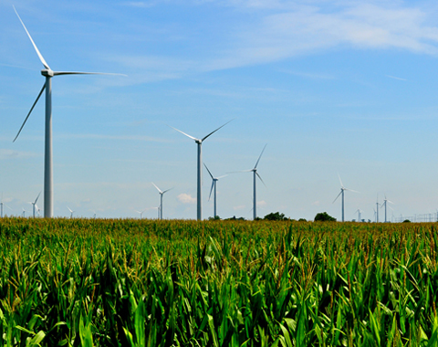 Photo: CO2 and food: We can't sacrifice quality for quantity