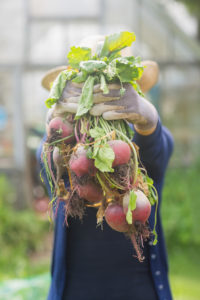 Woman showing home grown vegetables at home in the garden