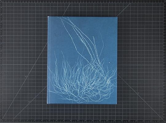 new_realities