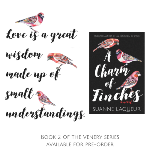 ACOF_ SmallUnderstandings