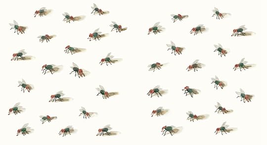 TFLY_9780763674809_HI_US2