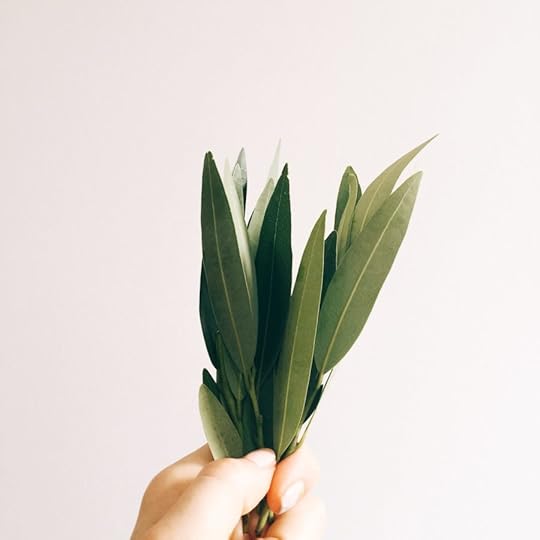 What are your Autumn projects?