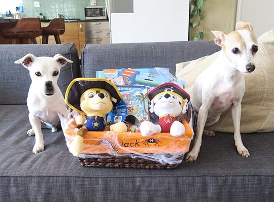 PAW Patrol DIY Trick-Or-Treat Doggy Bag + more!