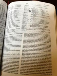 Big black Bible, why own such a large book? Martin Luther, Lutheran Study Bible, gloss of text, notes at the bottom of the Bible