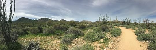 Sonja Stone, the Sonoran desert