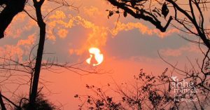 Sun’s Revolutions