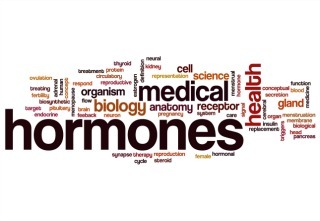 Hormones word cloud concept