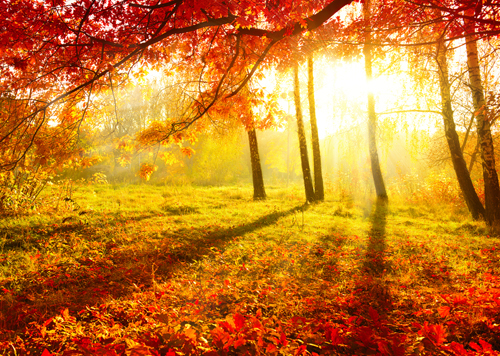 (c) depositphotos