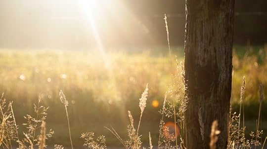 a brand new day