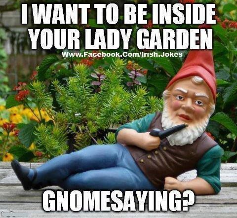 Gnomesayin?? Bahahaaaaa