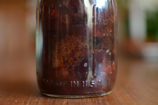 A detailed look at a single jar of plum conserve
