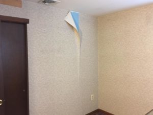 Home Renovation Part One - Remove Wallpaper