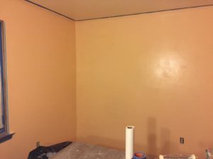 Home Renovation Part Three - Paint Ceiling and Walls