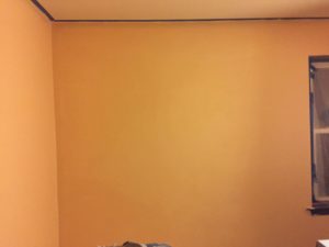Home Renovation Part Three - Paint Ceiling and Walls