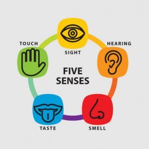 five senses
