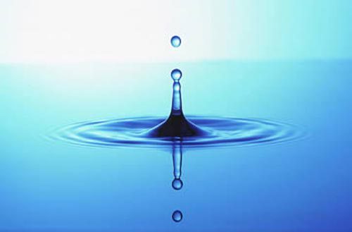 Image result for essence of life