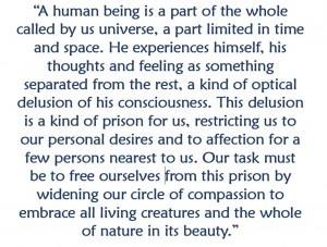 Einstein on humanity