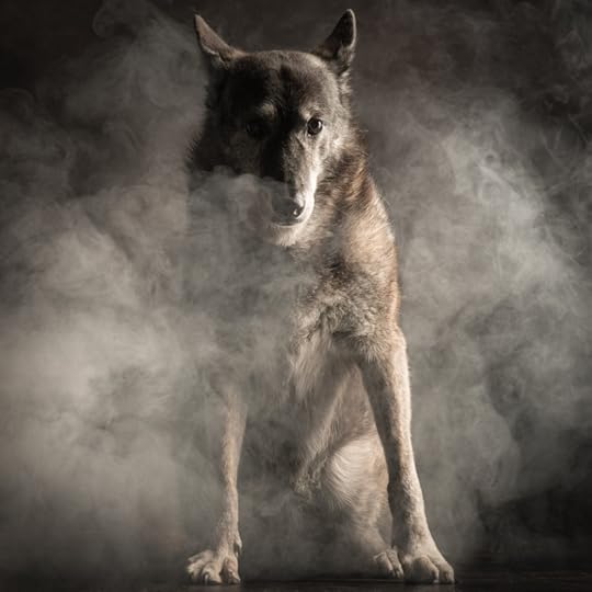 Photography by Paul Croes & Inge Nelis