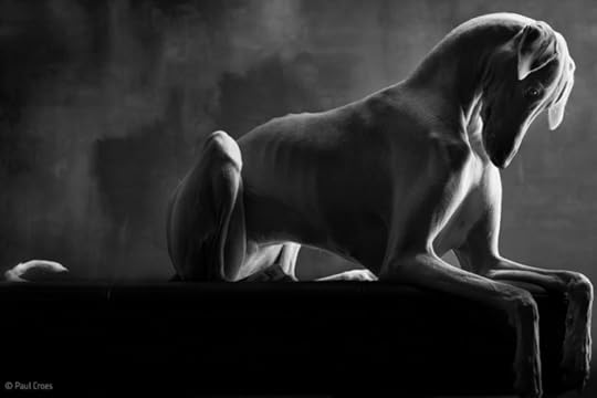 Photography by Paul Croes & Inge Nelis