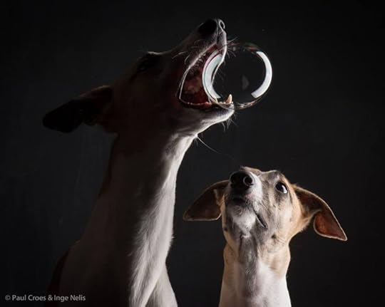 Photography by Paul Croes & Inge Nelis