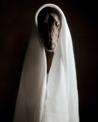 Photography by Paul Croes & Inge Nelis