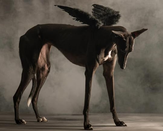 Photography by Paul Croes & Inge Nelis