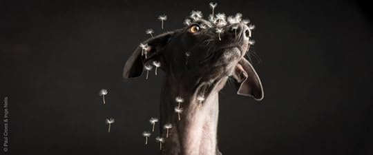 Photography by Paul Croes & Inge Nelis